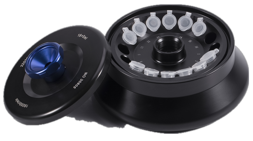 WPS图片(5) WPS图片(5)