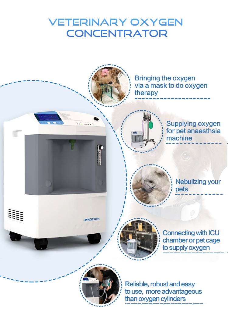 V&Eacute;T&Eacute;RINAIRE